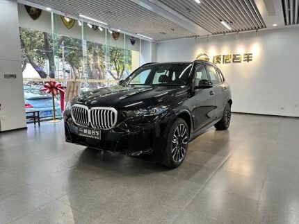 2024 BMW X5 for sale 872804 | Eauto Export