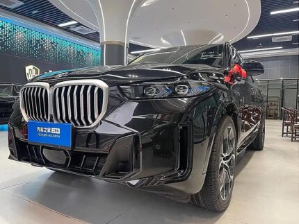 2024 BMW X5 for sale 875702 | Eauto Export