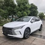 2024 BYD Destroyer 05 Full - Biggest Chinese EV Cos