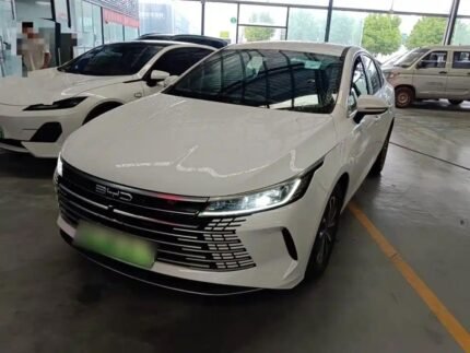 2024 BYD Destroyer 05 Test Drive Chinese Electric Car Name - Dynamic Used