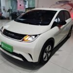 2024 BYD Dolphin Extended Range - Top 3 Chinese EV Firms