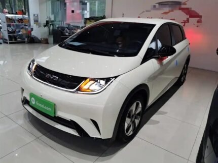 2024 BYD Dolphin Extended Range - Top 3 Chinese EV Firms