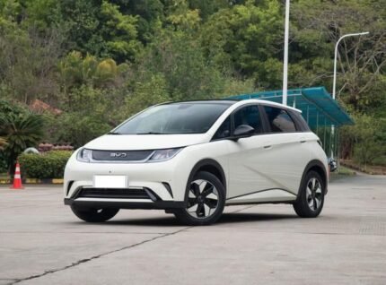 2024 BYD Dolphin for sale 640669 | Eauto Export