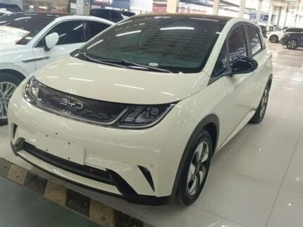 2024 BYD Dolphin for sale 913394 | Eauto Export