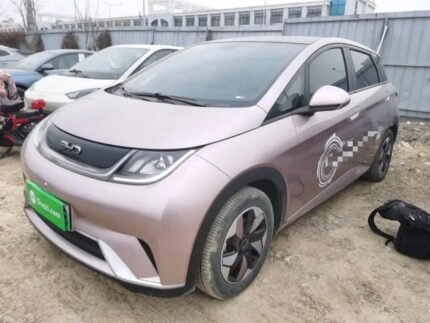 2024 BYD Dolphin for sale 913411 | Eauto Export