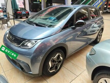 2024 BYD Dolphin Lease - Leading Chinese EV Car Companies
