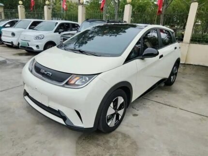 2024 BYD Dolphin Surf Comfort - Quality EV Chinese Cars