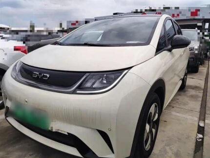 2024 BYD Dolphin Usado - Detailed China Cars Review