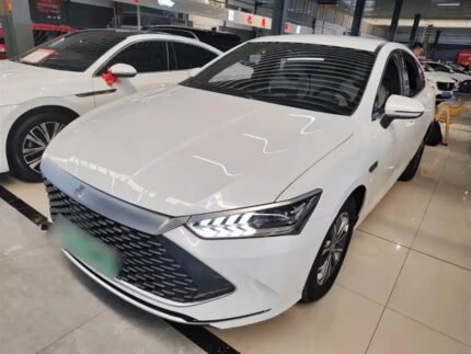 2024 BYD Qin Plus 500 - Asian Electric Car Company