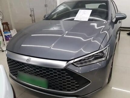 2024 BYD Qin Plus EV Price Cut - Chinese EV Company