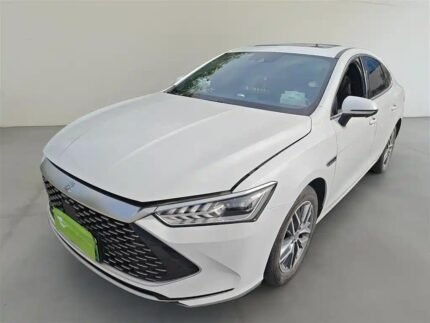 2024 BYD Qin Plus Fuel Tank Capacity All Chinese Electric Cars - Used