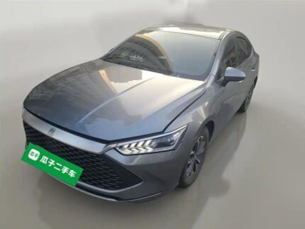 2024 BYD Qin Plus Reddit - Chinese EV Companies List