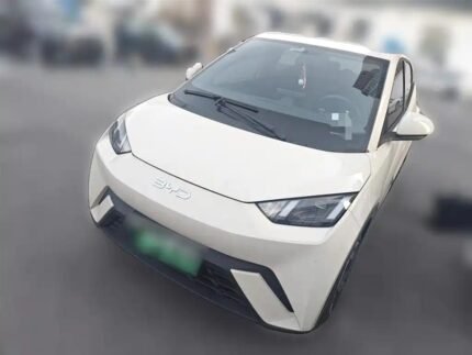 2024 BYD Seagull Car - Quality Used EV Car China