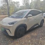 2024 BYD Seagull Cena - Best Chinese EV Models