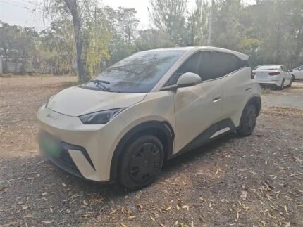 2024 BYD Seagull Cena - Best Chinese EV Models