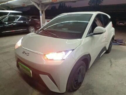 2024 BYD Seagull Deutschland - Best Chinese EV Cars
