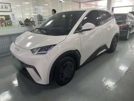 2024 BYD Seagull for sale 886255 | Eauto Export