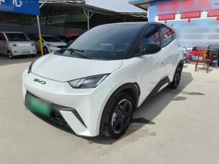 2024 BYD Seagull for sale 913193 | Eauto Export