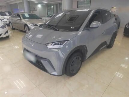 2024 BYD Seagull for sale 913202 | Eauto Export