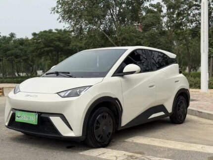 2024 BYD Seagull for sale 913217 | Eauto Export
