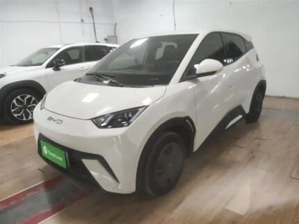 2024 BYD Seagull for sale 913221 | Eauto Export