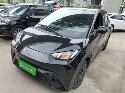 2024 BYD Seagull for sale 913222 | Eauto Export