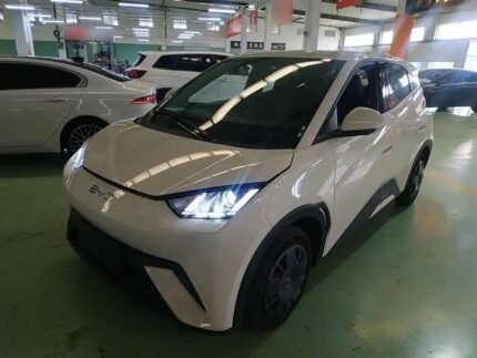 2024 BYD Seagull for sale 913224 | Eauto Export