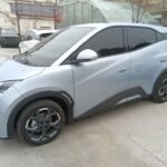 2024 BYD Seagull for sale 913234 | Eauto Export