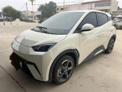 2024 BYD Seagull for sale 913236 | Eauto Export