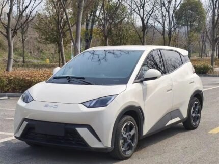 2024 BYD Seagull for sale 913237 | Eauto Export