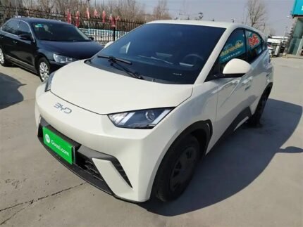 2024 BYD Seagull for sale 913250 | Eauto Export