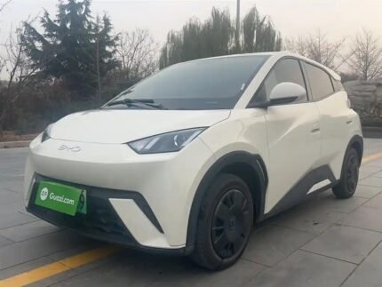 2024 BYD Seagull for sale 913257 | Eauto Export