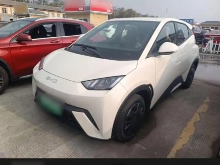 2024 BYD Seagull for sale 913274 | Eauto Export