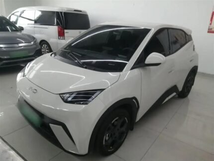 2024 BYD Seagull for sale 913286 | Eauto Export