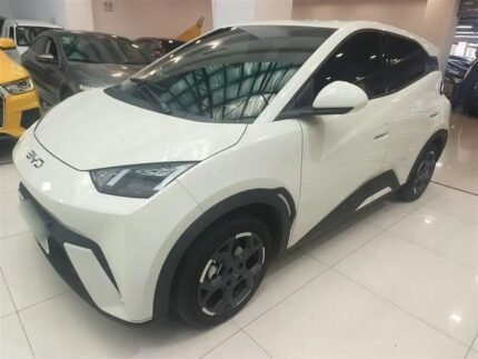 2024 BYD Seagull for sale 913289 | Eauto Export