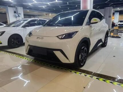 2024 BYD Seagull for sale 913292 | Eauto Export