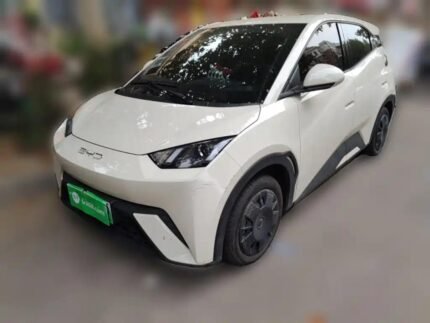 2024 BYD Seagull Nepal - Top Chinese EV Companies