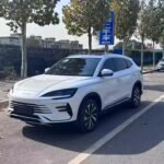 2024 BYD Song Plus EV Charger Type - Top 10 Chinese EVs