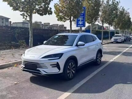 2024 BYD Song Plus EV Charger Type - Top 10 Chinese EVs
