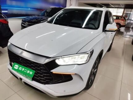 2024 BYD Song Pro EV for sale 914025 | Eauto Export