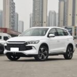 2024 BYD Song Pro New Energy for sale 640734 | Eauto Export