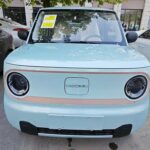 2024 Geely Panda for sale 839093 | Eauto Export