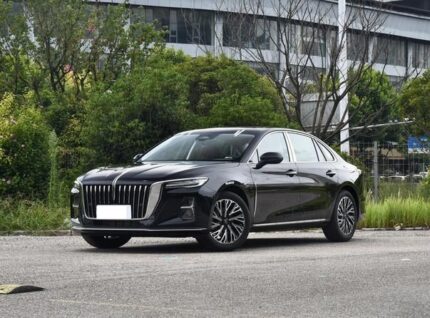 2024 Hongqi H5 for sale 642395 | Eauto Export