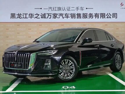 2024 Hongqi H5 for sale 922888 | Eauto Export