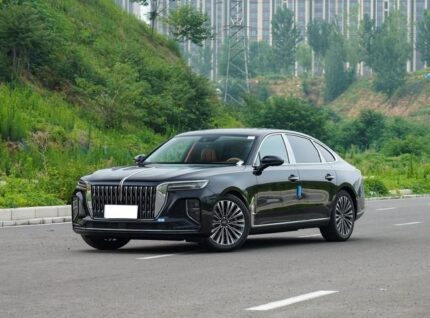 2024 Hongqi H9 for sale 642403 | Eauto Export