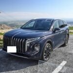 2024 Hongqi HS7 for sale 642426 | Eauto Export
