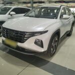 2024 Hyundai Tucson for sale 931378 | Eauto Export