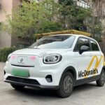 2024 Leapmotor T03 for sale 925497 | Eauto Export