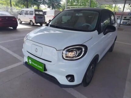 2024 Leapmotor T03 for sale 925517 | Eauto Export