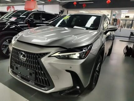 2024 Lexus NX EV for sale 925058 | Eauto Export